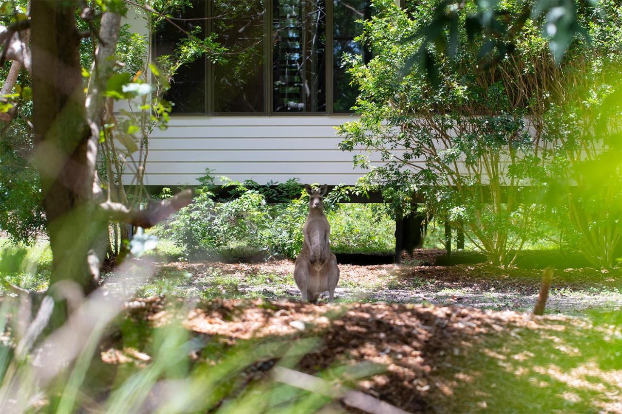 Eumarella Shores Noosa Lake Retreat Hotel Noosaville Eksteriør billede