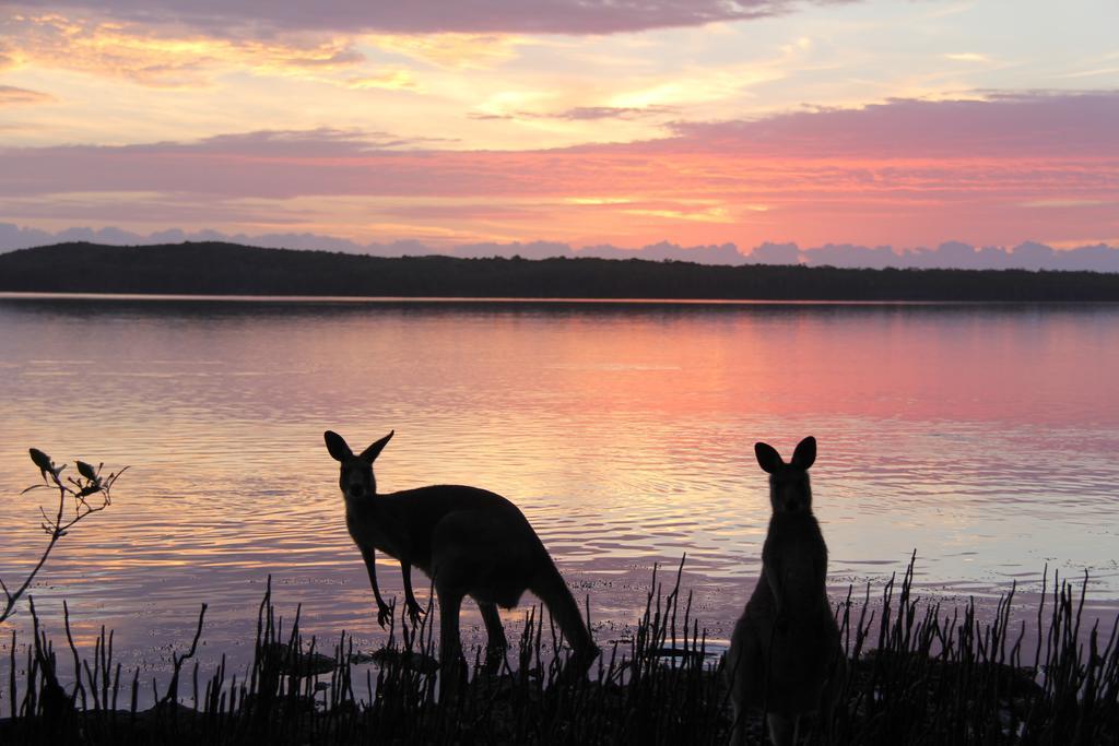 Eumarella Shores Noosa Lake Retreat Hotel Noosaville Eksteriør billede